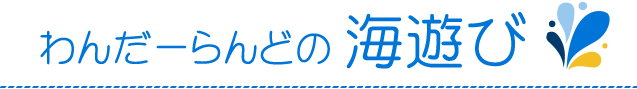わんだーらんどの海遊び